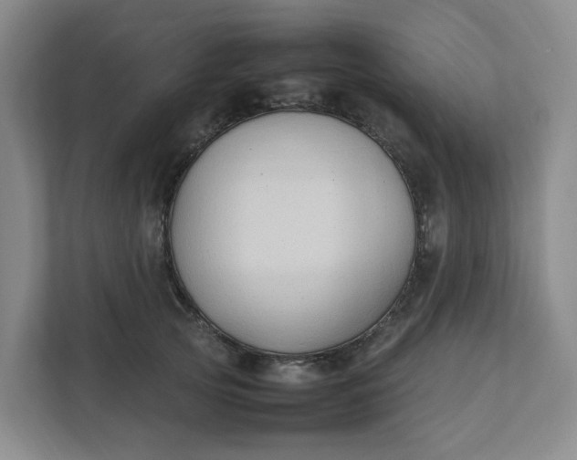 X0000111950753200908101222