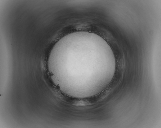 X0000111950755200908101222