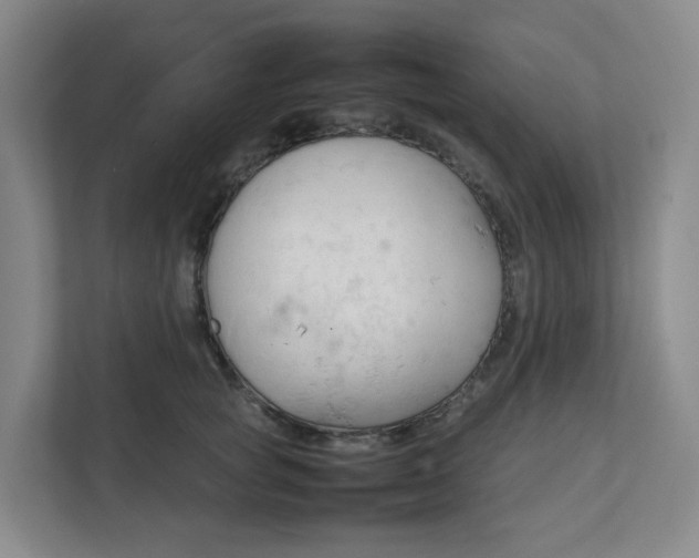 X0000111950757200908101222