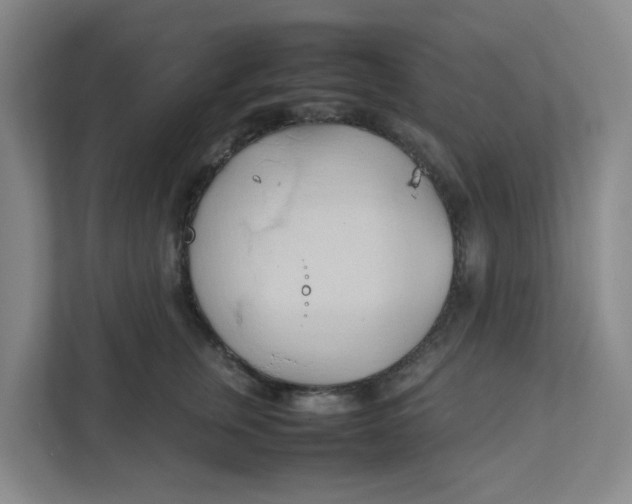 X0000111950759200908101222