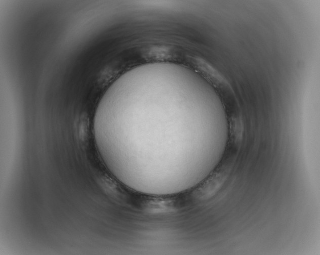 X0000111950760200908101222