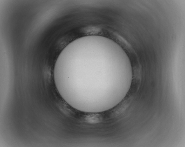 X0000111950761200908101222