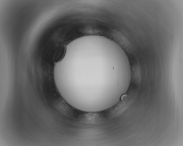 X0000111950762200908101222