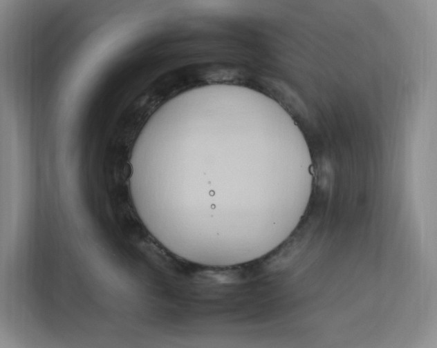 X0000111950763200908101222