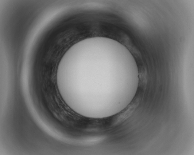 X0000111950765200908101222