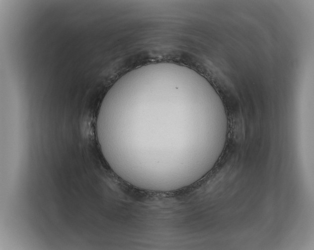 X0000111950770200908101221