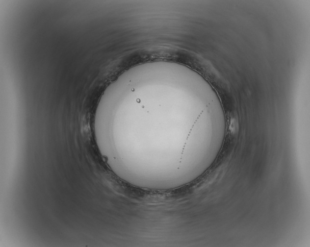 X0000111950771200908101221