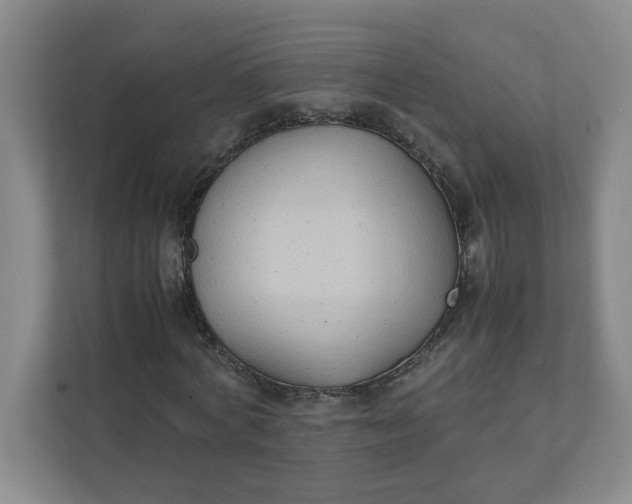 X0000111950772200908101221
