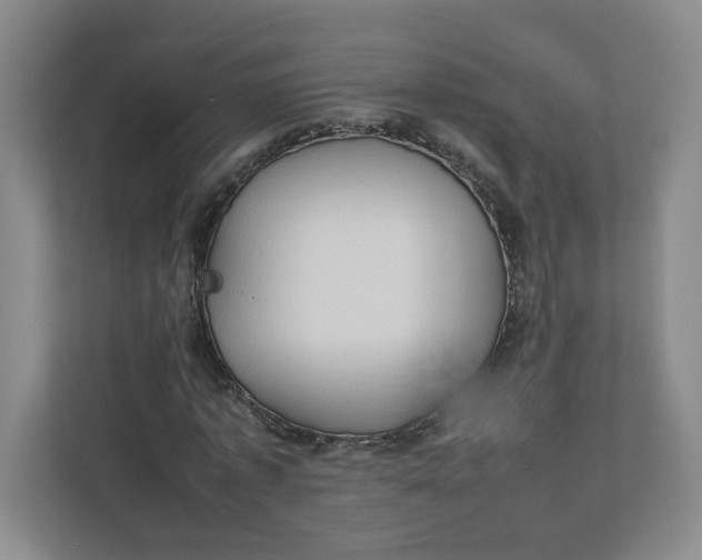 X0000111950773200908101221