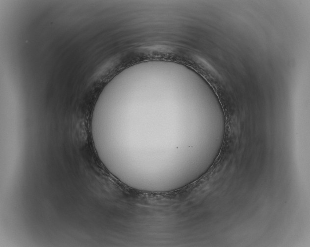 X0000111950774200908101221