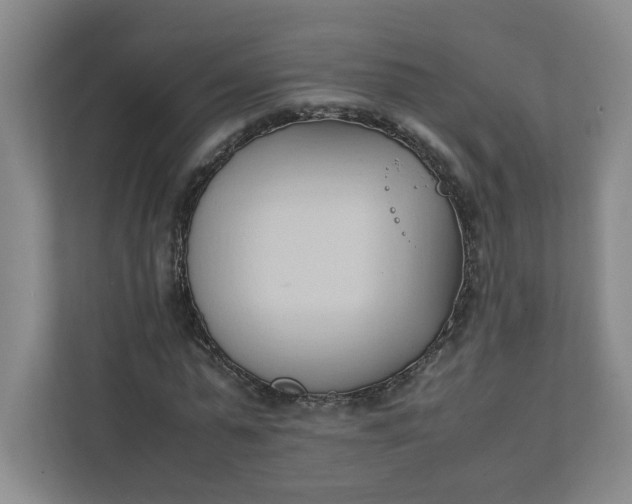 X0000111950775200908101221