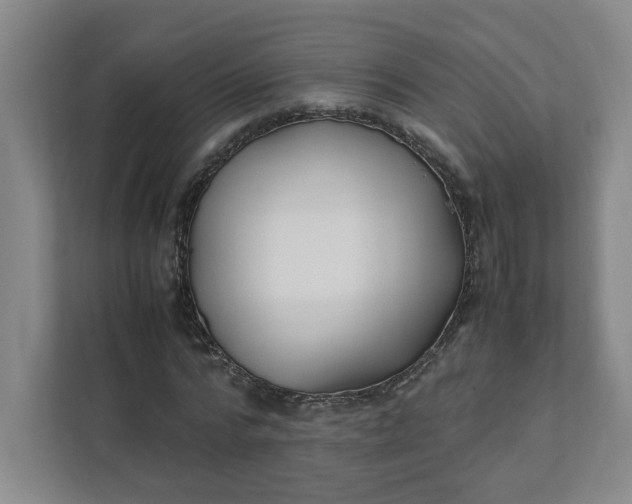 X0000111950776200908101221