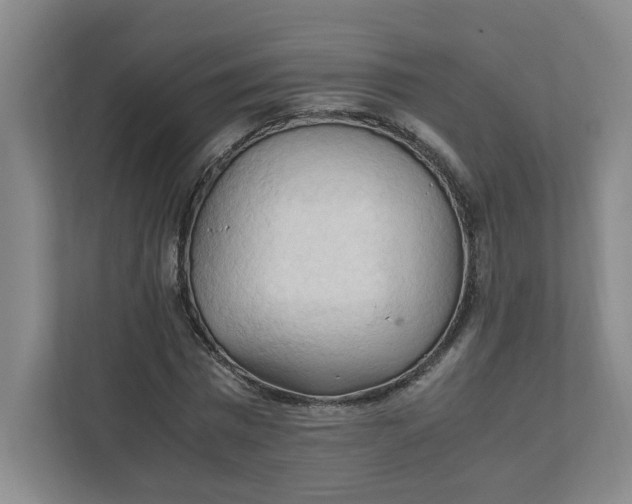 X0000111950777200908101221