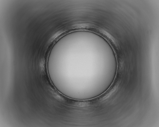X0000111950778200908101221
