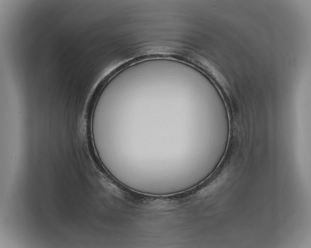 X0000111950779200908101221