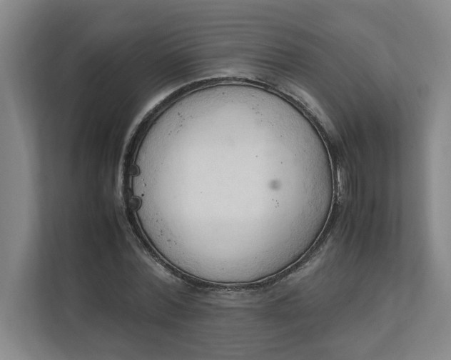 X0000111950780200908101221