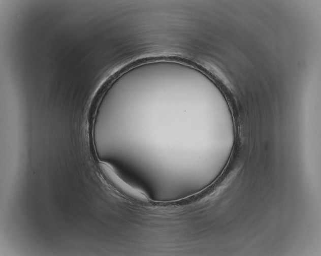 X0000111950781200908101221