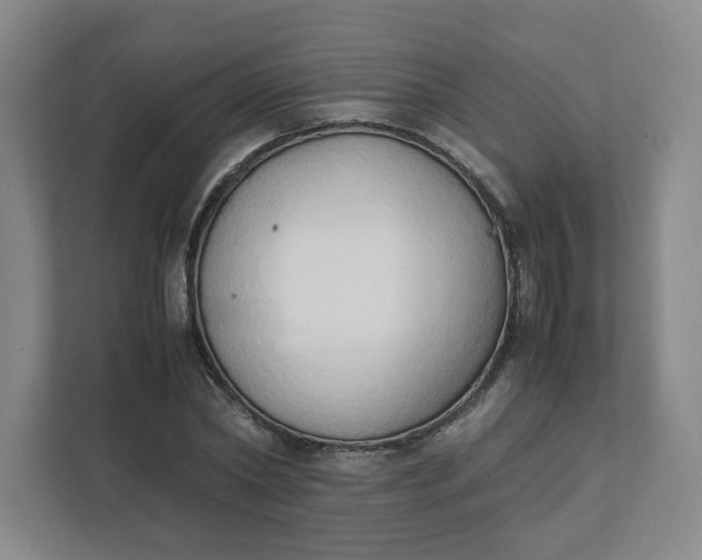 X0000111950782200908101221