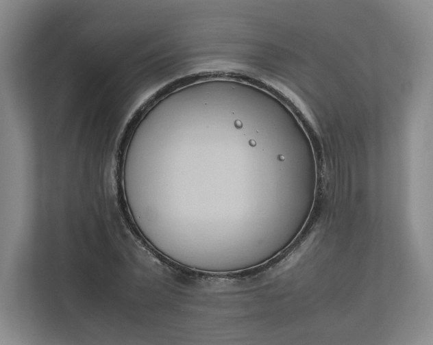X0000111950783200908101221