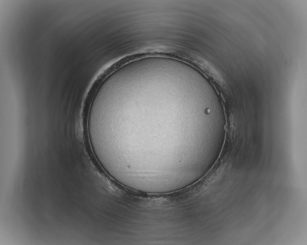 X0000111950784200908101221