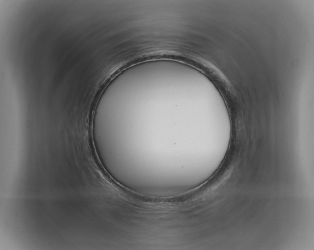 X0000111950785200908101221