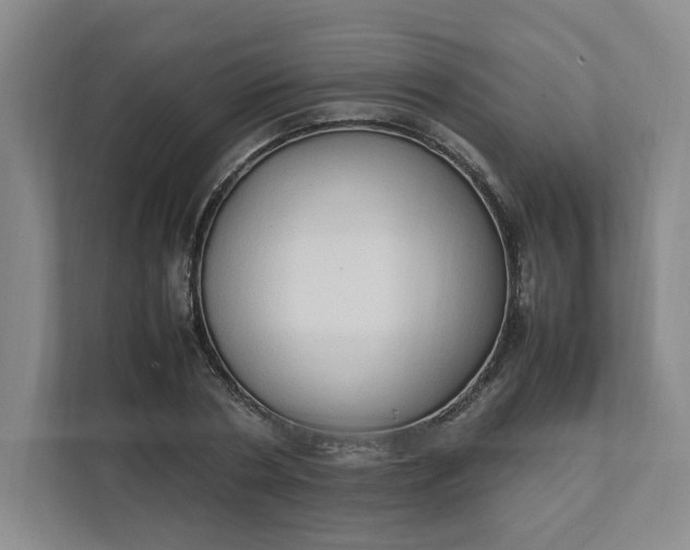 X0000111950786200908101221