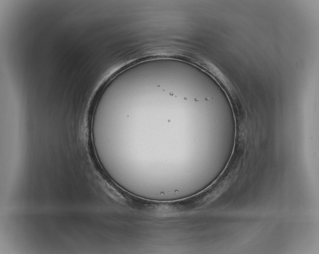 X0000111950787200908101221