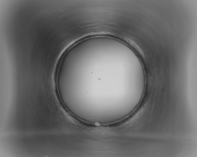 X0000111950789200908101221