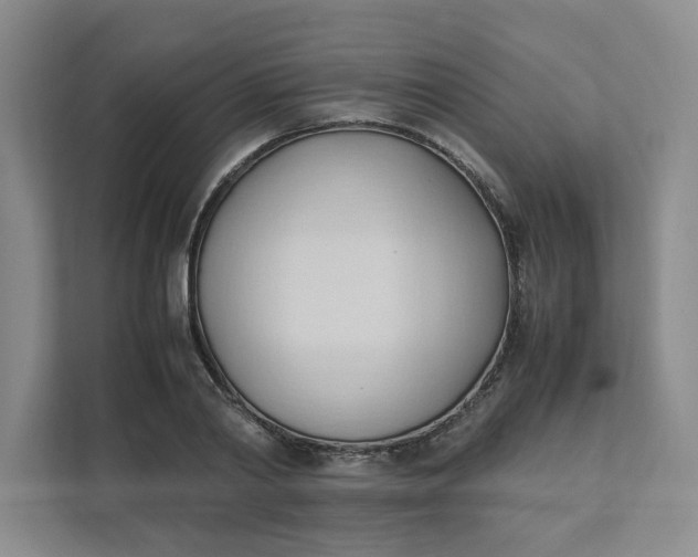 X0000111950790200908101221