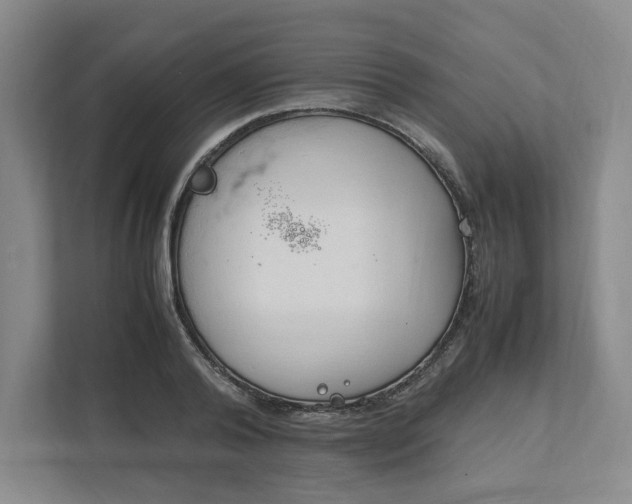 X0000111950792200908101221