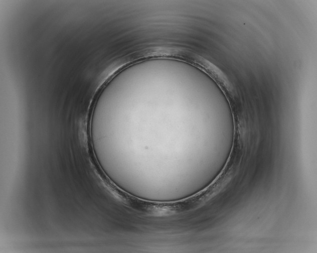 X0000111950794200908101221