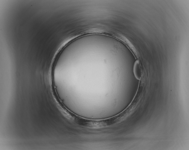 X0000111950795200908101221