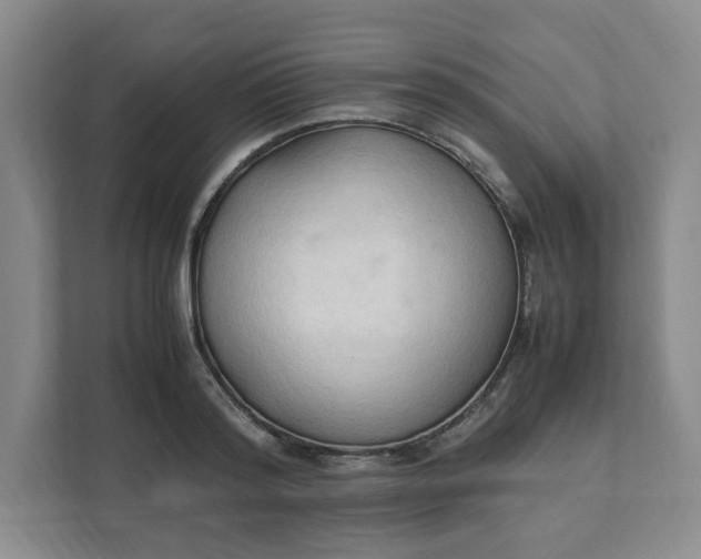 X0000111950796200908101221
