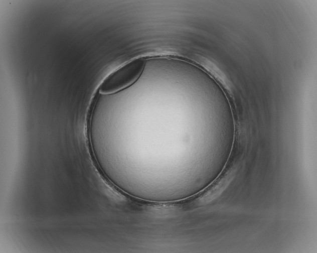 X0000111950797200908101221