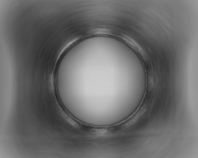 X0000111950798200908101221