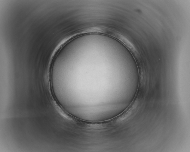 X0000111950800200908101221