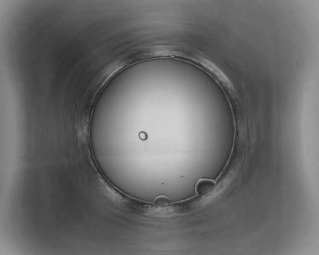 X0000111950801200908101221