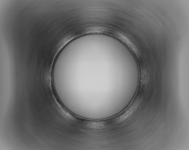 X0000111950802200908101221