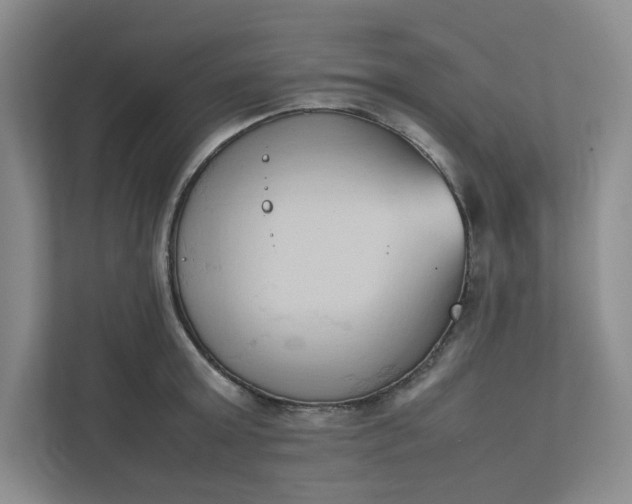 X0000111950803200908101221