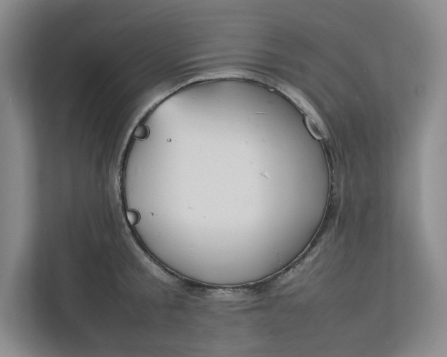 X0000111950805200908101221