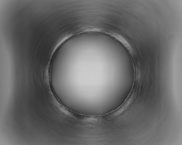 X0000111950806200908101221