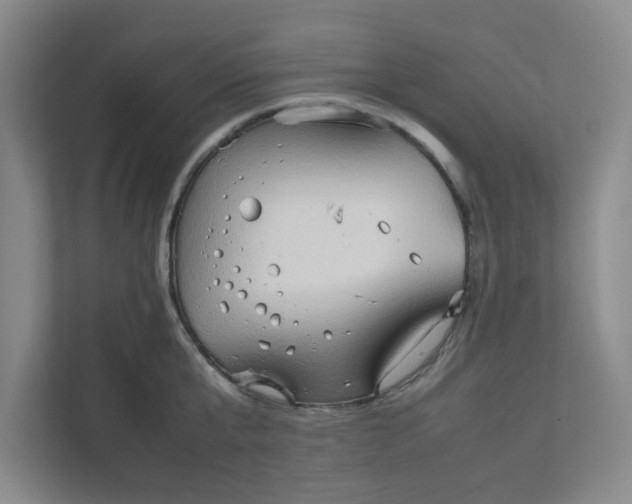 X0000111950807200908101221
