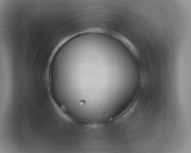 X0000111950808200908101221