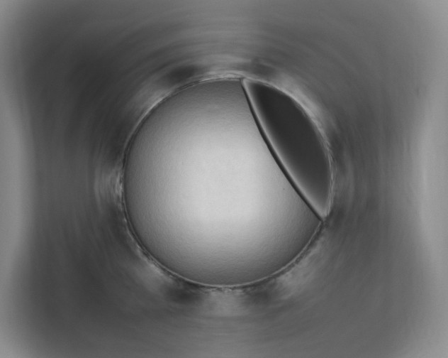 X0000111950809200908101221