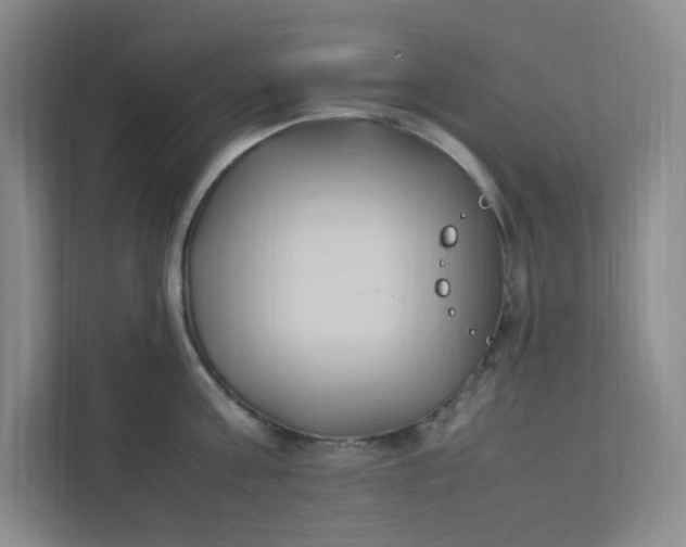 X0000111950811200908101221