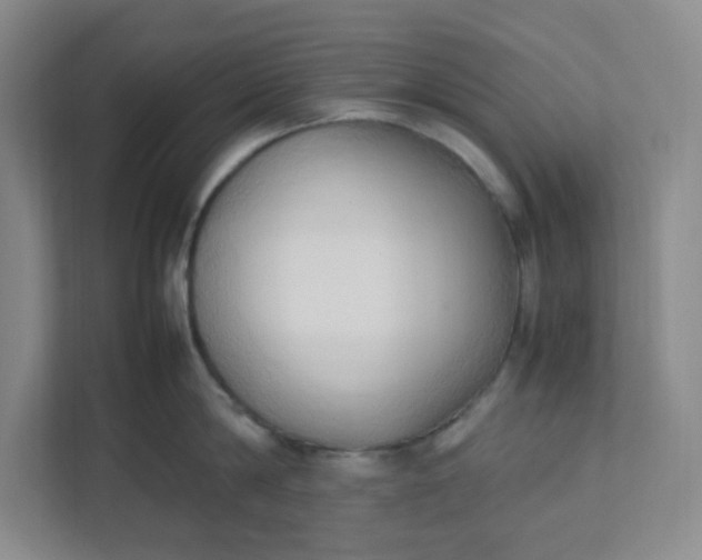 X0000111950814200908101221