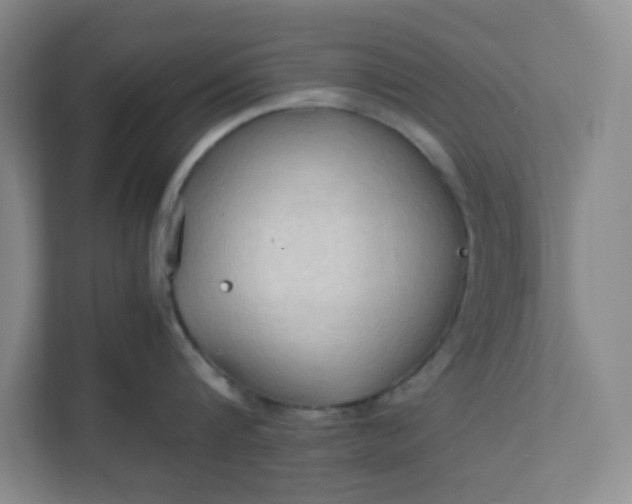 X0000111950816200908101221