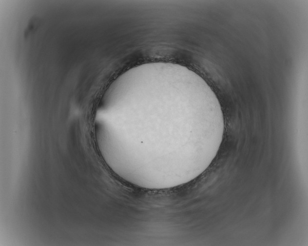 X0000111950817200908101220