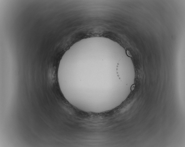 X0000111950818200908101220