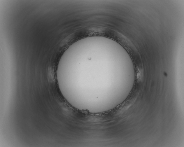 X0000111950819200908101220